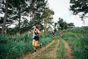 BIB: 
                            <button type="button" onclick="openModal(26036369)" class="btn btn-primary btn-sm float-right btn-popup" data-toggle="modal" data-target=".modal-high-quality">
                        <i class="fas fa-shopping-cart"></i> Add to Cart
                    </button>
                                            <button type="button" onclick="isThisMe(26036369, true)" class="btn btn-success btn-sm float-right btn-popup btn-isme hidden" data-toggle="tooltip" data-placement="bottom" title="นี่คือรูปของคุณใช่ไหม คลิกที่นี่เพื่อเอาเข้าอัลบั้ม">
                        <i class="fas fa-plus"></i> Add to album
                    </button>
                    <button type="button" onclick="isThisMe(26036369, false)" class="btn btn-warning btn-sm float-right btn-popup btn-isnotme hidden">
                        <i class="fas fa-ban"></i> Remove from album
                    </button>